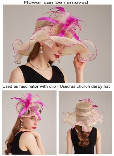 Women's Kentucky Derby Church Dress Hat Wide Brim Leaf Flower Bridal Shower Hat - color: Stylec-beige,rose