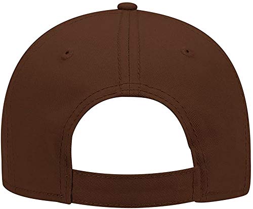 Ashen Fane 6 Panel Structured Low Profile Superior Cotton Twill Basic Baseball Hat - color: Brown