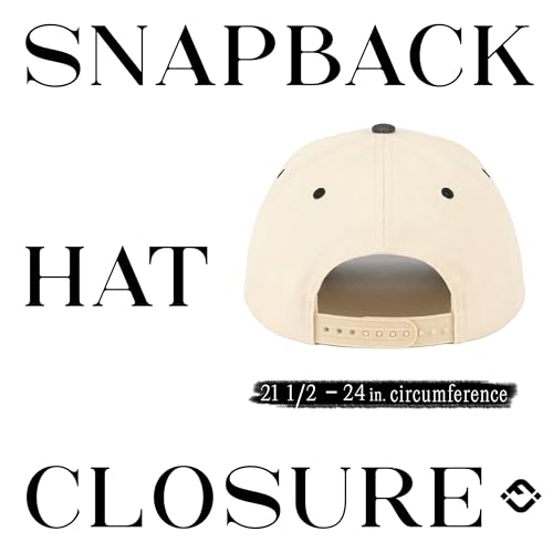 Funky Junque Trucker Snapback Hat - color: Glitter - Black/Beige