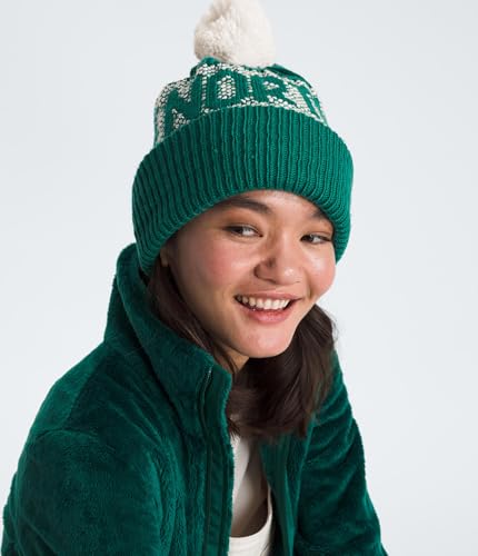 The North Face Unisex Adult Retro Cabin Beanie - color: Evergreen/White Dune