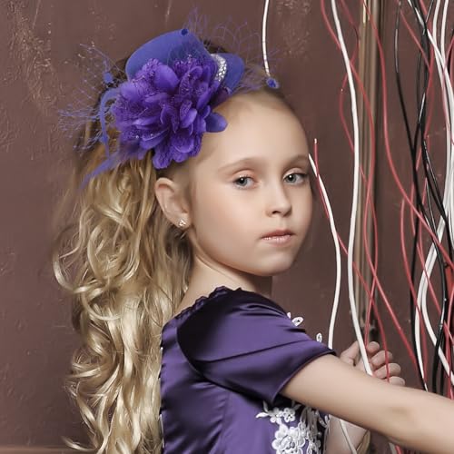 Zinniday Purple Feather Fascinator Hat - 2026 Mini Elegant Veil Derby Hats Veil Headdress Pearl Victoria Topper Kentucky Hair Clip for Lady Women Girls Holiday Event Party Costume - color: Purple
