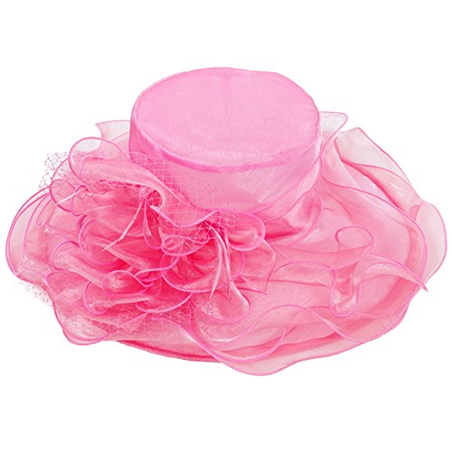 Janey&Rubbins Women's Feathers Floral Fascinating Wide Brim Lightweight Church Derby Hat - color: Pink