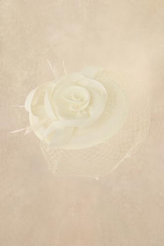 BABEYOND Fascinators Hats for Women Flower Veil Feather Pillbox Derby Hat - color: Beige