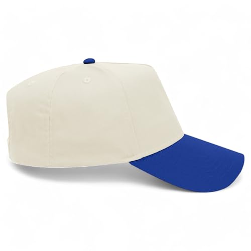 Hit The Dang Ball V2 Hat - color: Royal/Natural