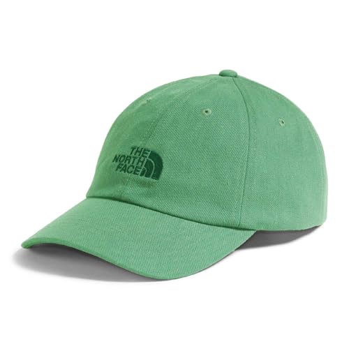 The North Face Norm Baseball Hat | Shallow Fit Ball Cap with Embroidered Logo, Adjustable Strap Closure & Silver Buckle - color: Dimmed Algae