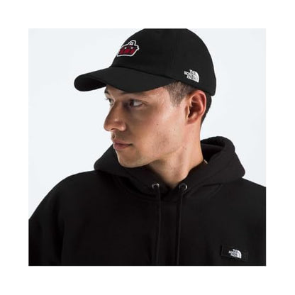 The North Face Norm Baseball Hat | Shallow Fit Ball Cap with Embroidered Logo, Adjustable Strap Closure & Silver Buckle - color: Tnf Black/Base Camp Patch