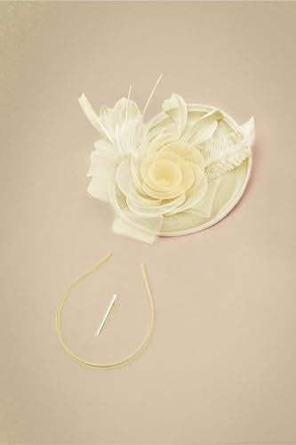 BABEYOND Fascinators Hats for Women Tea Party Mesh Flower Pillbox Derby Hat - color: Beige