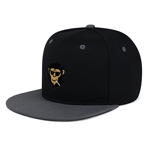 Smoking Monkey Hip-Hop Snapback Hat Embroidered Baseball Cap Wild Animal Funny - color: 18. Black/Grey