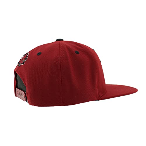 ZHATS NCAA Unisex-Adult NCAA Officially Licensed Snapback Hat Flat Brim Z11
