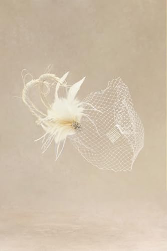 BABEYOND Mesh Veil Feather Fascinators Hat for Women Wedding Bridal Veil - color: Beige