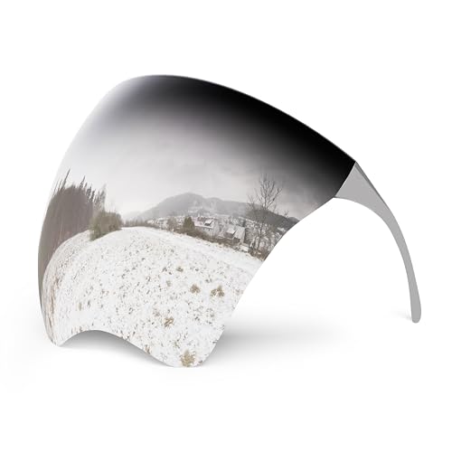mayoken® Full Face Shield Sunglasses, Futuristic Wraparound Sun Protection Face Shield for Men & Women, Anti-Fog Mirror Glasses, Lightweight & Comfortable Gradient Gray - color: Ombre Gray