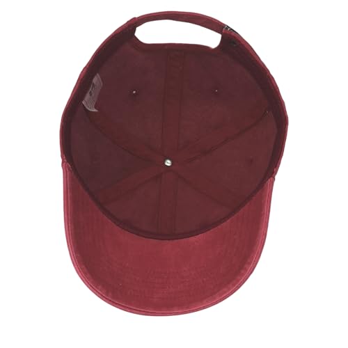 Embroidered Book Lover Baseball Cap for Men Women, Funny Washed Cotton Classic Dad Hat, Reading Lover Gift Idea - color: Book Lover, Wine Red