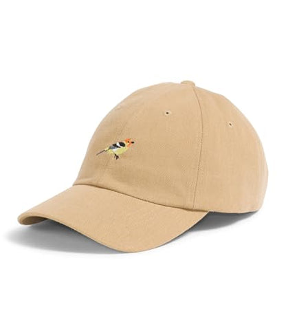 The North Face Norm Baseball Hat | Shallow Fit Ball Cap with Embroidered Logo, Adjustable Strap Closure & Silver Buckle - color: Khaki Stone/Yosemite Bird Graphic