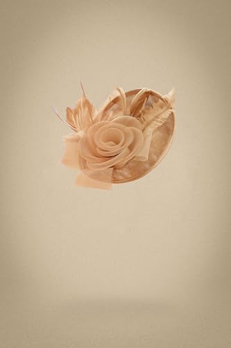 BABEYOND Fascinators Hats for Women Tea Party Mesh Flower Pillbox Derby Hat - color: Champagne Gold