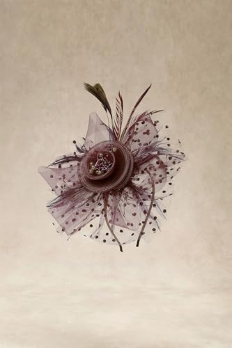 BABEYOND Fascinators Hats for Women Tea Party Flower Tulle Bead Derby Hat - color: Coffee