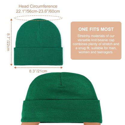 DRESHOW Winter Beanie for Women Men Fleece Lined Slouchy Knit Thick Beanies - color: 1 Pack Knit Beanie Hat: Emerald Green