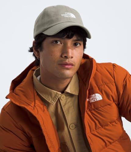 The North Face Norm Baseball Hat | Shallow Fit Ball Cap with Embroidered Logo, Adjustable Strap Closure & Silver Buckle - color: Clay Grey
