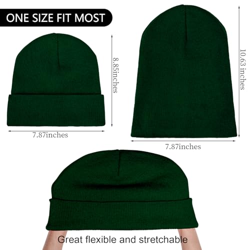 Pistha Beanie for Men Women-Knit Beanie Hats Skull Cap Winter Warm Hat - color: Dark Green