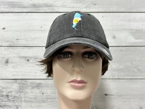 America State City Flag Hats - color: Argentina Flag (Washed Black)