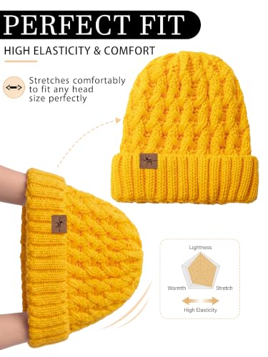 Winter Hats for Women Cable Knit Chunky Skull Cap Fleece Lined Thick Fold Cuff Beanie hat - color: Ginger, style: Pineapple