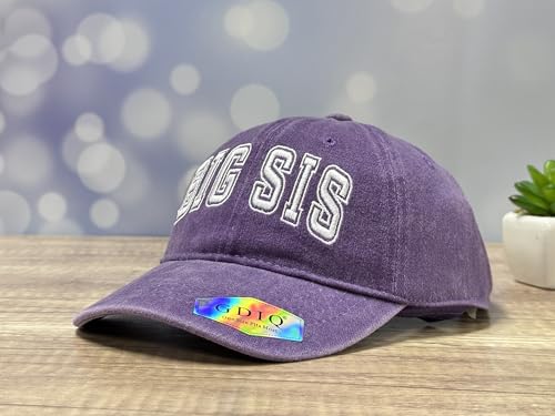 Adjustable Embroidery Animal Baseball Hat for Kid Toddler Child - color: Big Sis (Washed Purple)