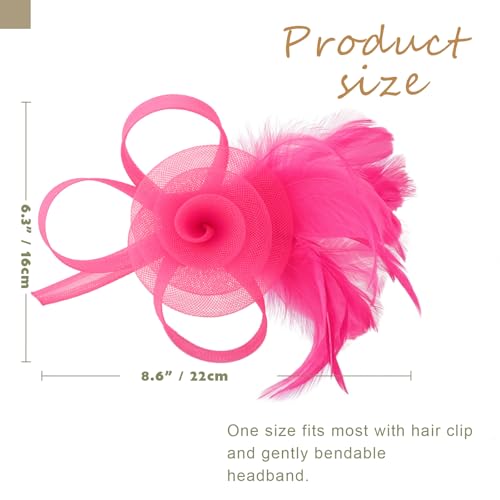 DRESHOW Fascinators Hats for Women Tulle Feather Tea Party Fascinator Hats - color: Fuschia