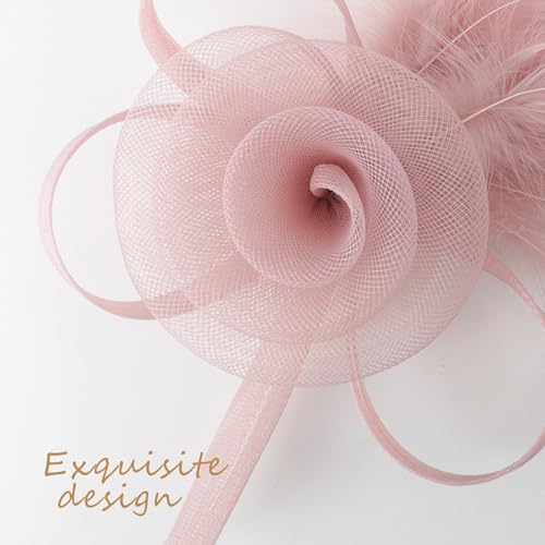 DRESHOW Fascinators Hats for Women Tulle Feather Tea Party Fascinator Hats - color: Nude Pink