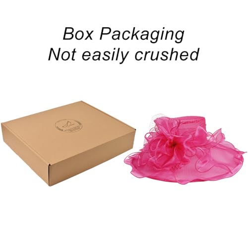2026 Kentucky Derby Hat for Women Ladies, Organza Veil Feather Fascinator for Tea Party Church UV Protection Sun Hat - color: F4452-rose Red