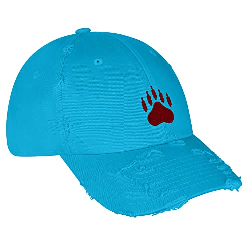 JPAK Bears Vintage Dad Hat Embroidered Cap NASDAQ Symbol Stocks - color: Aqua