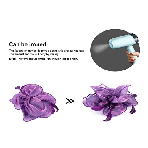 AQOKKA Women Fascinators Hats Flower Fascinators with Headband and Clip Tea Party Headwear for Women and Girls - color: 8.2" Diameter / Grey