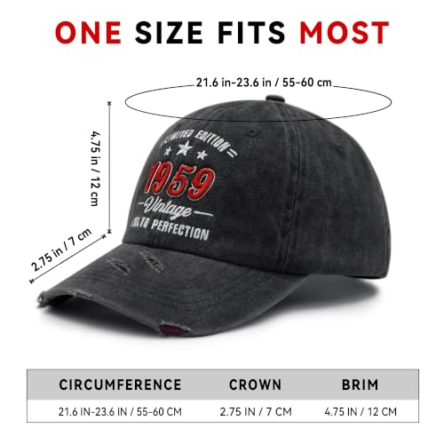 3D Embroidered Birthday Vintage Baseball Cap for Men Women, Washed Distressed Classic Cotton Adjustable Ideal Hat - color: 1959 Year