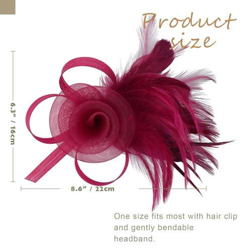 DRESHOW Fascinators Hats for Women Tulle Feather Tea Party Fascinator Wine
