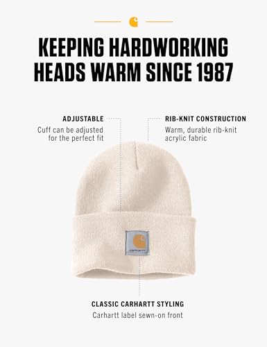 Carhartt Men's Iconic A18 Watch Cap Beanie - color: Winter White