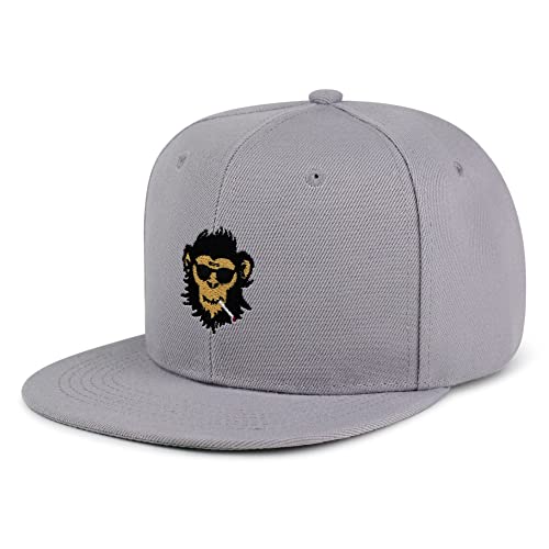 Smoking Monkey Hip-Hop Snapback Hat Embroidered Baseball Cap Wild Animal Funny - color: 02. Light Grey
