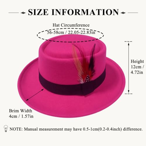 Classic Pork Pie Hat with Feathers Flat Top Fedora, Vintage Panama Hats, Warm Comfortable Jazz Cap - color: Rose