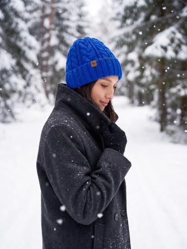 Winter Hats for Women Cable Knit Chunky Skull Cap Fleece Lined Thick Fold Cuff Beanie hat - color: Sky Blue, style: Wheat Spike