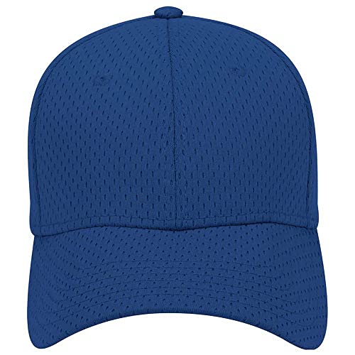 Ashen Fane 6 Panel Polyester Pro Mesh Low Profile Baseball Cap - color: Royal