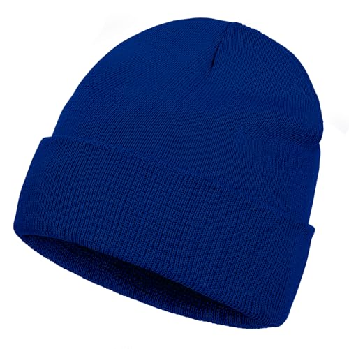 Pistha Beanie for Men Women-Knit Beanie Hats Skull Cap Winter Warm Hat - color: Royal Blue