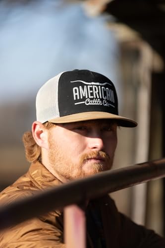 Longhorn Adjustable Snapback Western Hat - color: Black/Putty