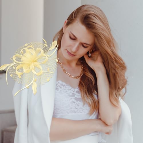 Women's Fascinator Feather Flower Hir clip & Corsage Dual-use Bridal Headpiece Hair Accessories Cocktail Party Wedding - color: Begie