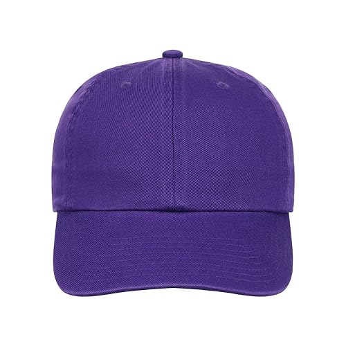 Lids Blank Baseline Dad Adjustable Strapback Hat - color: Purple