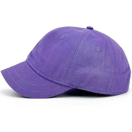 Loneshark Short Brim Baseball Cap for Running Small Bill Umpire Hat - color: Purple