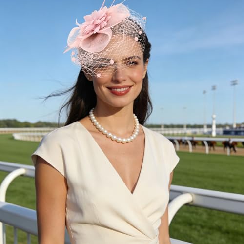 Semato Fascinators Hats for Women Mesh Feathers Elegant Pink Tea Party Kentucky Hat Derby Headband with Hair Clip - color: Pink