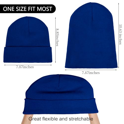 Pistha Beanie for Men Women-Knit Beanie Hats Skull Cap Winter Warm Hat - color: Royal Blue