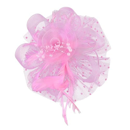 Zando Kentucky Fascinators Hats for Women Derby Tea Party Hat Flower Mesh Feathers Headband Headwear Hair Clip Girls - color: B Pink