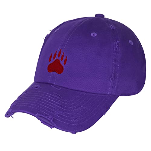 JPAK Bears Vintage Dad Hat Embroidered Cap NASDAQ Symbol Stocks - color: Purple