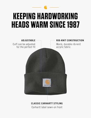 Carhartt Men's Iconic A18 Watch Cap Beanie - color: Black