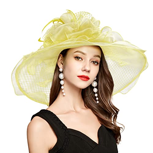 2026 Kentucky Derby Hat for Women Ladies, Organza Veil Feather Fascinator for Tea Party Church UV Protection Sun Hat - color: F4452-gd