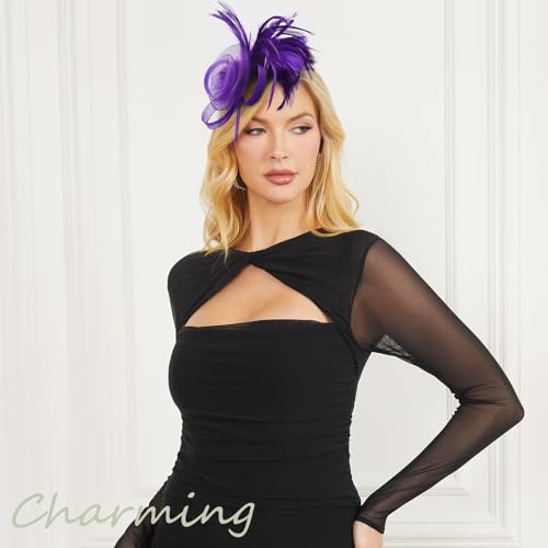 DRESHOW Fascinators Hats for Women Tulle Feather Tea Party Fascinator Hats - color: Purple