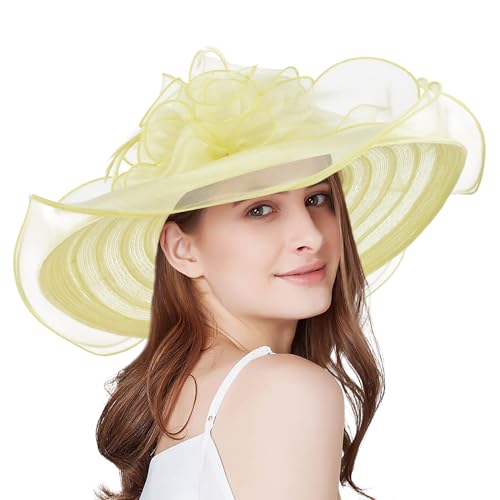 2026 Kentucky Derby Hat for Women Ladies, Organza Veil Feather Fascinator for Tea Party Church UV Protection Sun Hat - color: B4562-yellow